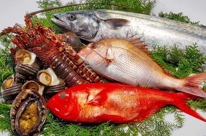 株式会社魚吉鮮魚イメージ